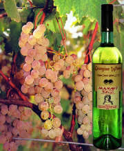 KST-Georgian Wines - Manavi